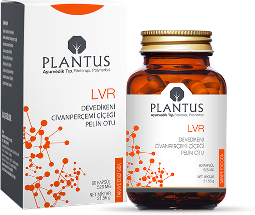 Plantus LVR 60 Kapsül