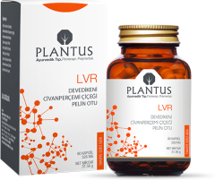 Plantus LVR 60 Kapsül