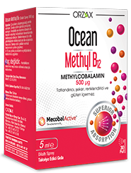 Ocean Methyl B12 5ml 500MCG sprey