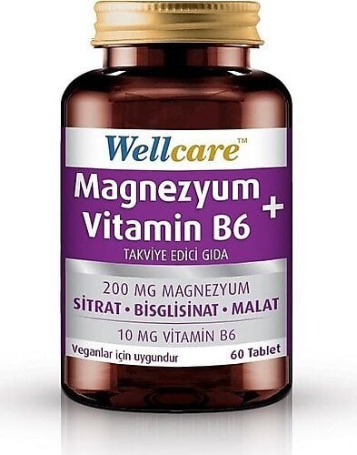 Wellcare Magnezyum + Vitamin B6 60 Tablet