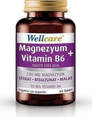 Wellcare Magnezyum + Vitamin B6 60 Tablet