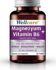 Wellcare Magnezyum + Vitamin B6 30 Tablet