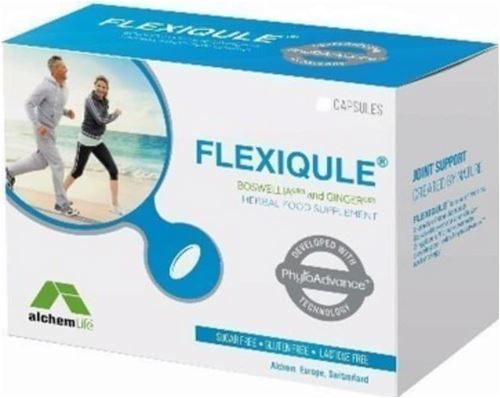 Flexiqule 60 Kapsül