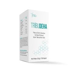 Trıbudeha 30 Kapsül