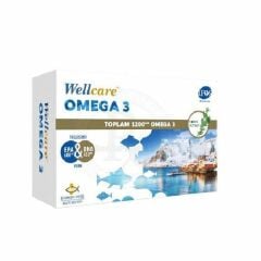 Wellcare Omega 3 Balık Yağı 30 Kapsül